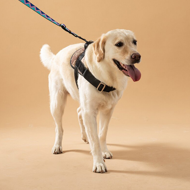 米兰·milantiyu胸背