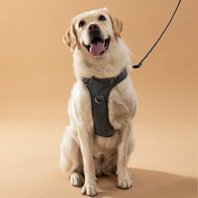 米兰·milantiyu胸背