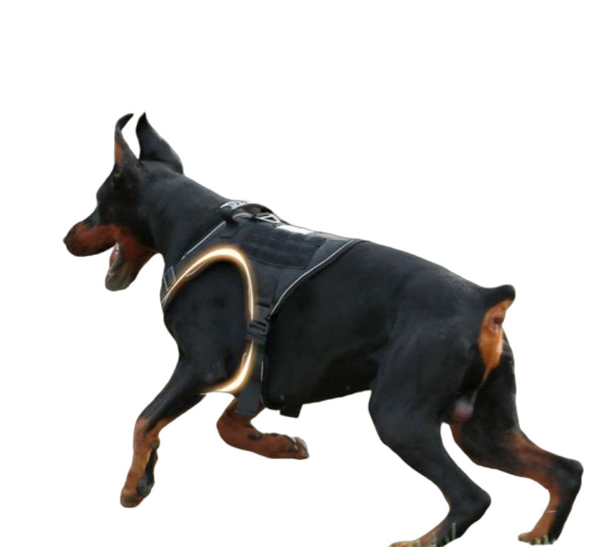 米兰·milantiyu胸背