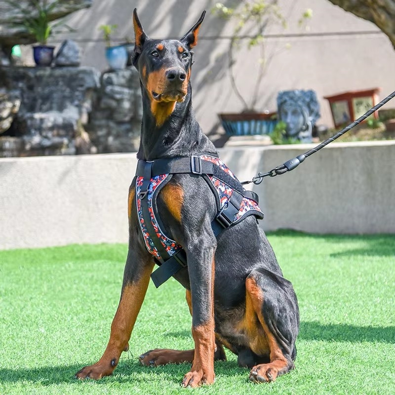 米兰·milantiyu胸背