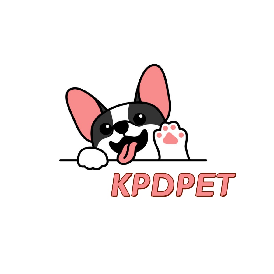 宠爱，无处不在