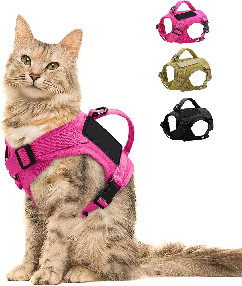 米兰·milantiyu胸背