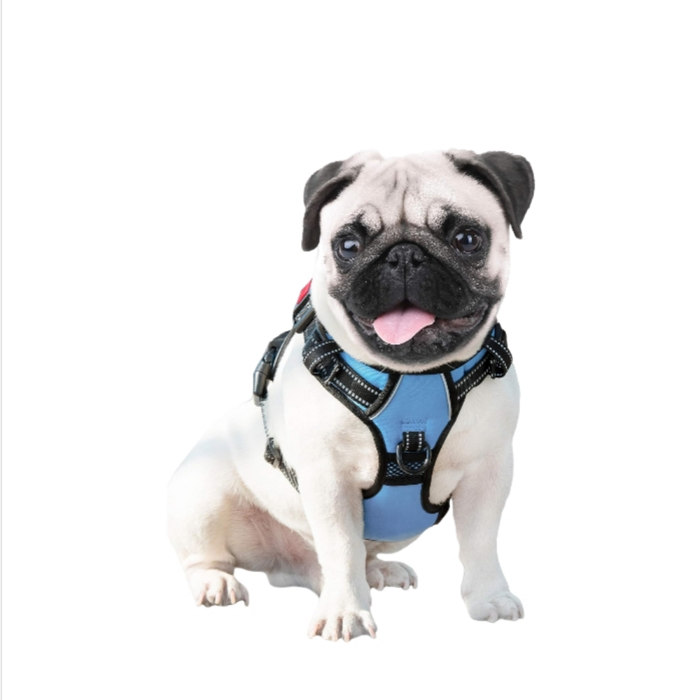 米兰·milantiyu胸背