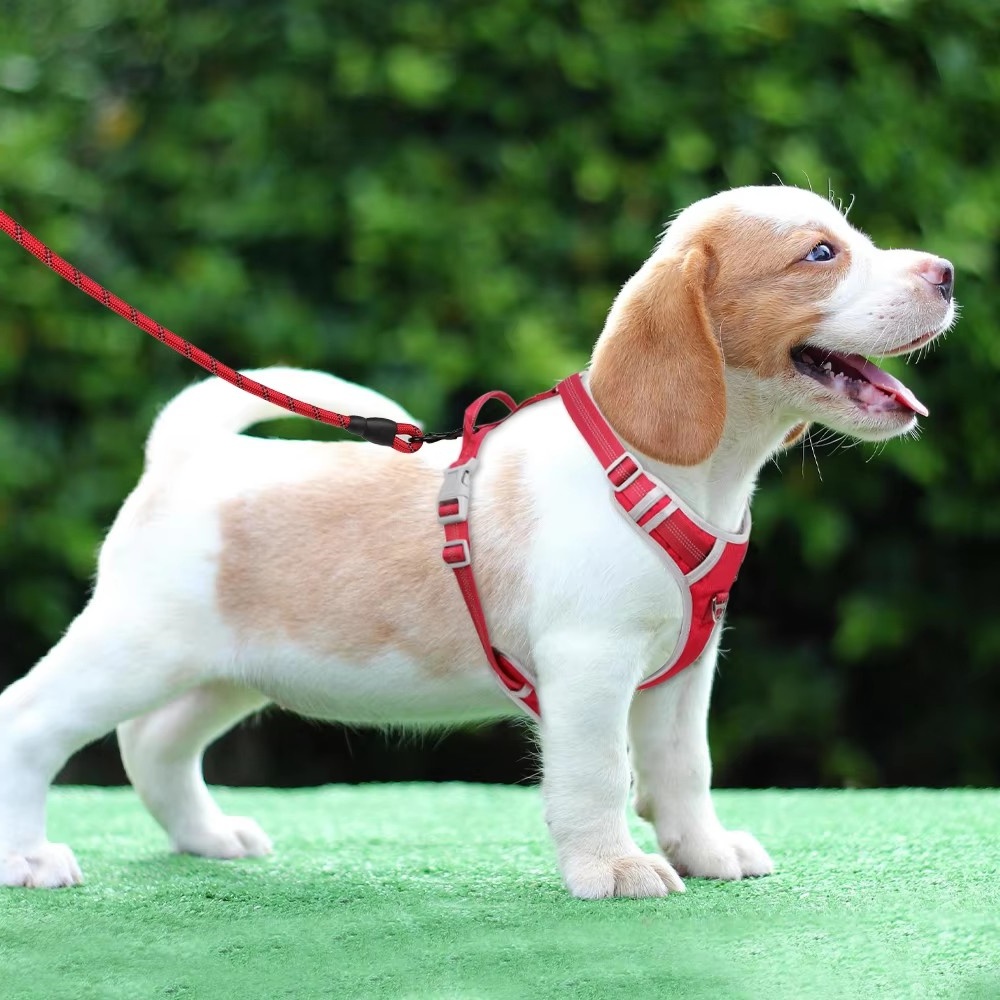 米兰·milantiyu胸背